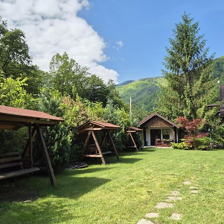 Hotel Pensiunea Dumbravita Rîu de Mori Exterior foto