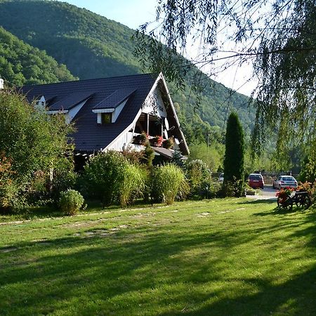 Hotel Pensiunea Dumbravita Rîu de Mori Exterior foto