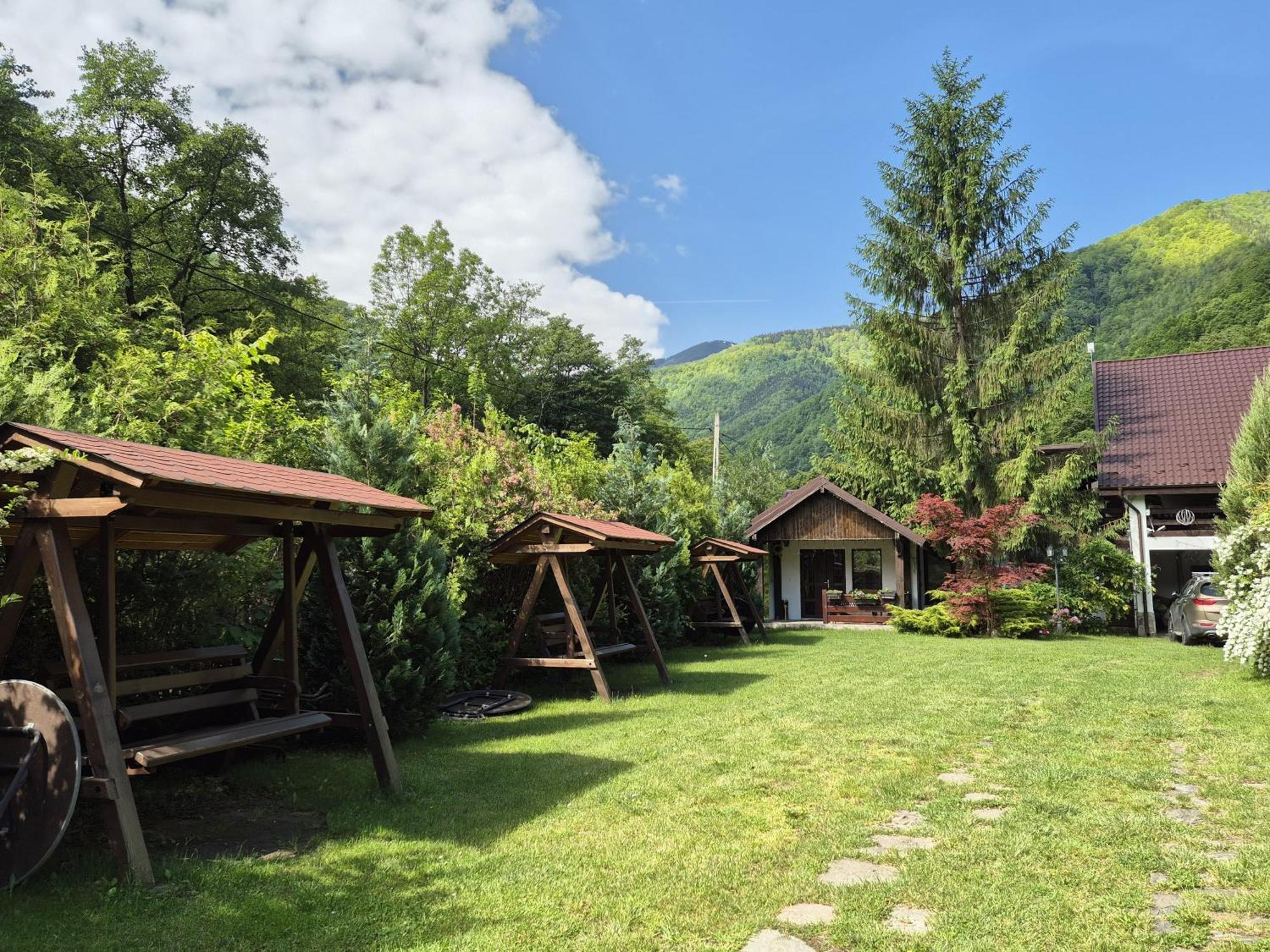 Hotel Pensiunea Dumbravita Rîu de Mori Exterior foto