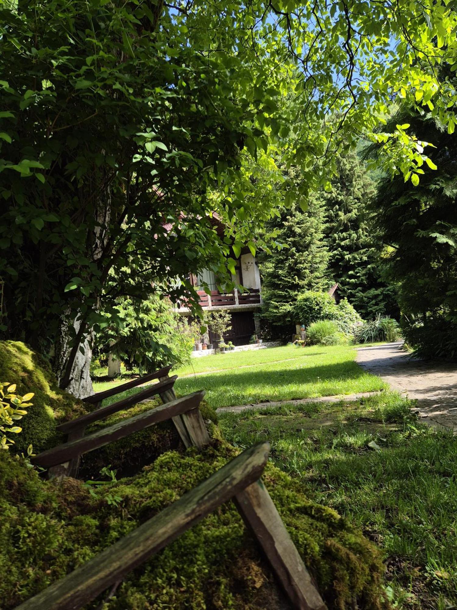 Hotel Pensiunea Dumbravita Rîu de Mori Exterior foto