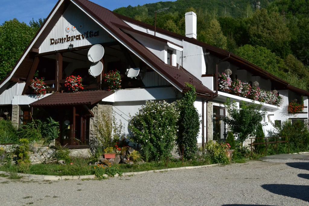 Hotel Pensiunea Dumbravita Rîu de Mori Exterior foto
