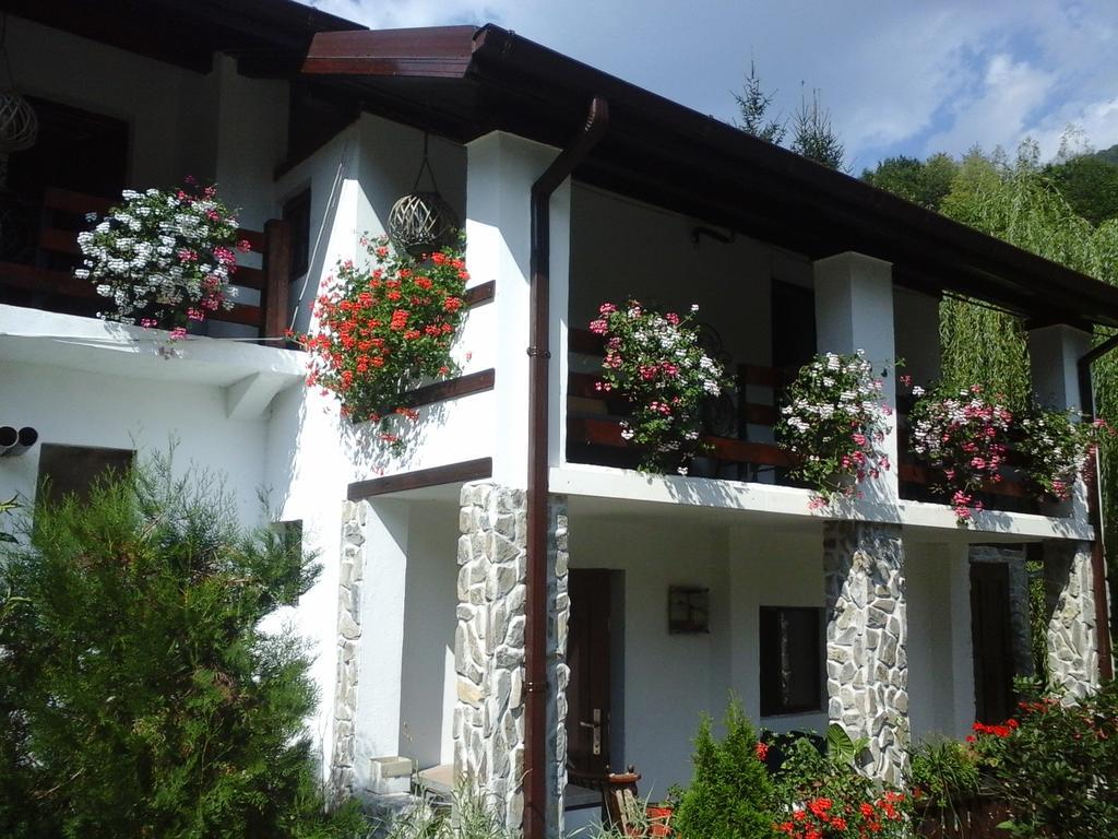 Hotel Pensiunea Dumbravita Rîu de Mori Exterior foto
