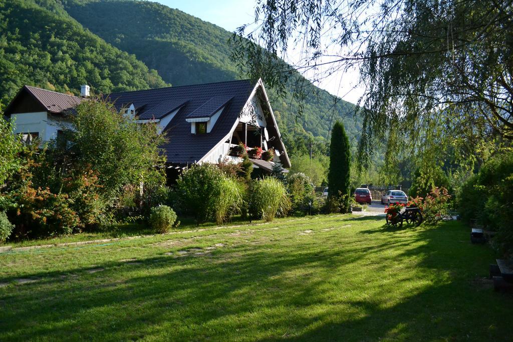 Hotel Pensiunea Dumbravita Rîu de Mori Exterior foto