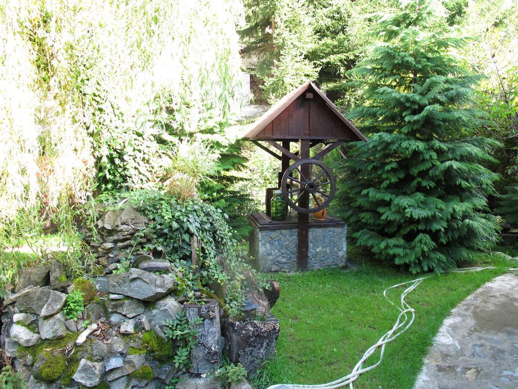 Hotel Pensiunea Dumbravita Rîu de Mori Exterior foto